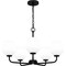 Quoizel Nielson Chandelier 5 Lights Matte Black NIE5025MBK - alternate 5